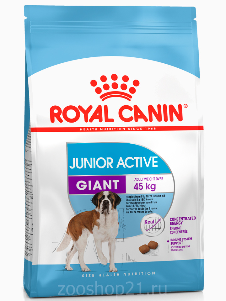 Корм Royal Canin Giant Junior ACTIVE для энергичных щенков гигантских пород 8-24 мес., 15 кг
