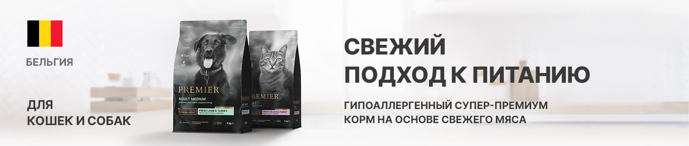 Premier