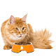 Для кошек